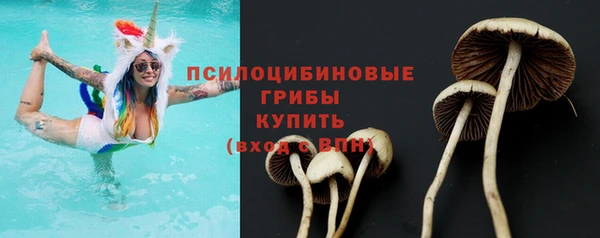 герыч Алзамай