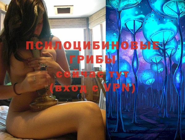 кокс Алексеевка