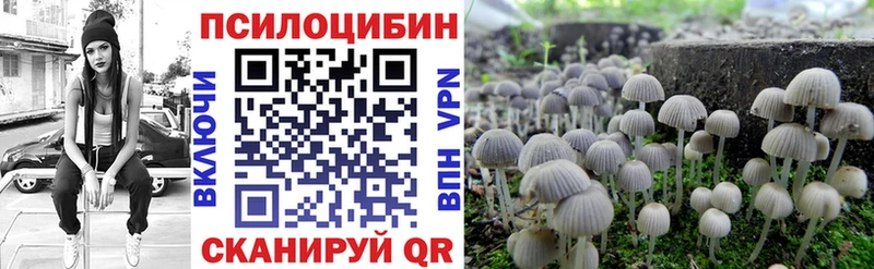 hydra рабочий сайт  Гусиноозёрск  Псилоцибиновые грибы мицелий 